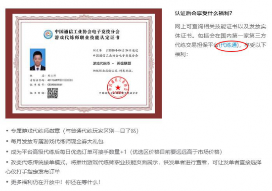 上海见证电竞盛事：The International 2026圆满落幕，全球玩家共襄文化盛宴
